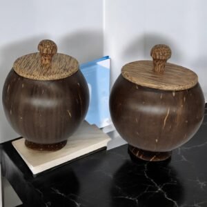 Coconut Shell container