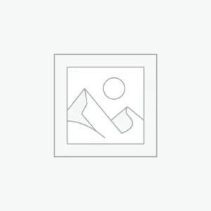 Appu Elephant Set of 2